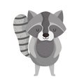 raccoon wildlife cartoon