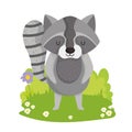 raccoon wildlife cartoon