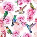 Roses, magnolia, birds of the hummingbird. Seamless wallpaper with pits and flowers. Seamless pattern. Illustration