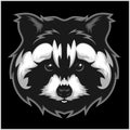 Raccoons head logo for sport club or team.