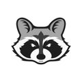 Raccoons head logo for sport club or team. Animal mascot logotype. Template. Vector illustration.