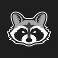 Raccoons head logo for sport club or team. Animal mascot logotype. Template. Vector illustration.