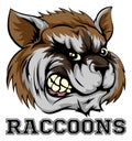 Raccoons Mascot