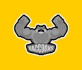 Raccoons sport logo. Raccoon Sports team club emblem. Animal mascot gaming sign. Strong beast symbol Racoon Royalty Free Stock Photo