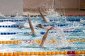 Race of backstroke swimmers in the pool Royalty Free Stock Photo