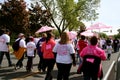 Race for the Cure 2010 Susan G. Komen Royalty Free Stock Photo