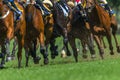 Race Horses Running Legs Hoofs Track Close Up