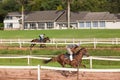 Race Horse Jockey Closeup Running Track