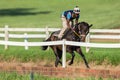 Race Horse Jockey Train Sand Track