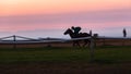 Race Horse Jockey Training Dawn Silhouette