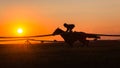 Race Horse Jockey Galloping Sunrise Silhouette