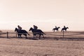 Race Horse Riders Running Training Track