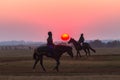 Race Horses Grooms Jockeys Training Dawn