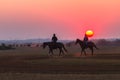 Race Horses Grooms Jockeys Training Dawn