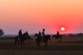 Race Horses Grooms Jockeys Training Dawn