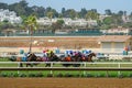 Race horses with jockey going towards finish line Royalty Free Stock Photo