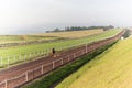 Race Horses Jockeys Sand Track Training