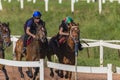 Race Horses Jockeys Training