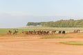 Race Horses Jockeys Training Landscape