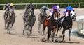 Race horses kicking up mud
