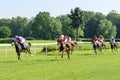 Race horses on the Partynice track. Royalty Free Stock Photo