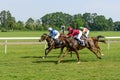 Race horses on the Partynice track. Royalty Free Stock Photo