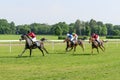 Race horses on the Partynice track. Royalty Free Stock Photo