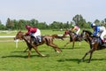 Race horses on the Partynice track. Royalty Free Stock Photo