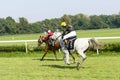 Race horses on the Partynice track. Royalty Free Stock Photo