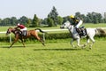 Race horses on the Partynice track. Royalty Free Stock Photo