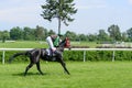 Race horses on the Partynice track. Royalty Free Stock Photo