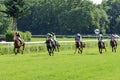 Race horses on the Partynice track. Royalty Free Stock Photo