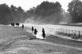 Race Horses Riders Black White Landscape