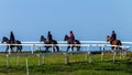 Race Horses Riders Animals Blue Sky Landscape