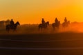 Race Horses Riders Training Dawn