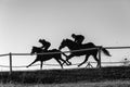 Race Horses Running Black White Royalty Free Stock Photo