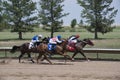 Race horses running in tight group as jockeys ride them along the rail at Araphaoe Park & Mile High Race Track, Aurora, Colorado,