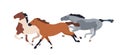 Race horses running. Wild mustangs in action. purebred racehorses group galloping at fast speed, side view. Tribal