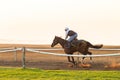 Race Horses Training Dawn