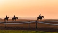 Race Horses Training Dawn Silhouettes