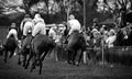 Race horses - watching crowds Royalty Free Stock Photo
