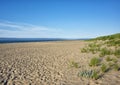 Race Point Beach in Provincetown Massachusetts Royalty Free Stock Photo