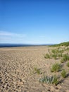 Race Point Beach in Provincetown Massachusetts Royalty Free Stock Photo