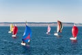 Race of sailboats at Port Townsend