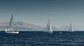 The race of sailboats, a regatta, reflection of sails on water, Intense competition, number of boat is on aft boats