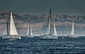 The race of sailboats, a regatta, reflection of sails on water, Intense competition, number of boat is on aft boats