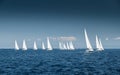 The race of sailboats, a sail regatta, reflection of sails on water, Intense competition, number of boat is on aft boats