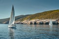 The race of sailboats, a sail regatta, reflection of sails on water, Intense competition, number of boat is on aft boats