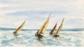 The race of sailboats