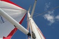 Race yacht spinnaker